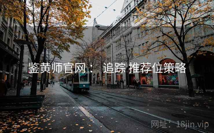 鉴黄师官网 ： 追踪 推荐位策略