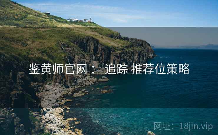 鉴黄师官网 ： 追踪 推荐位策略