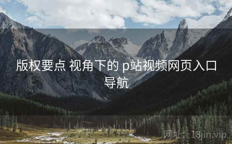 版权要点 视角下的 p站视频网页入口导航